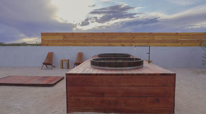 Photo of The Desert Sunflower