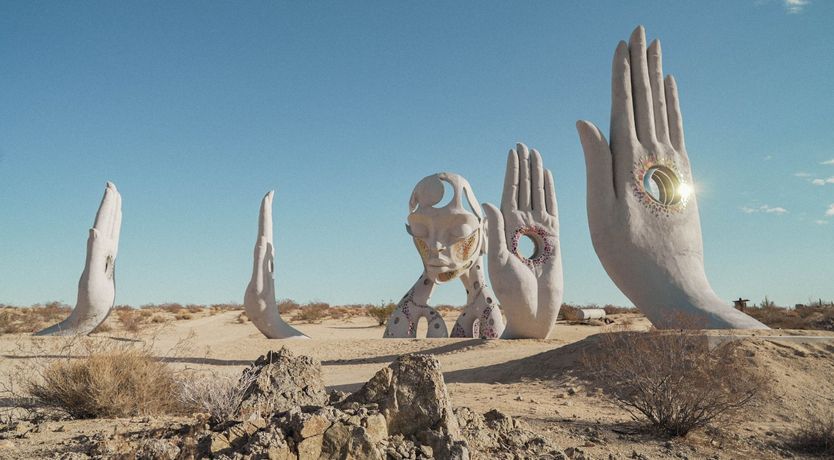 Photo of The Desert Sunflower