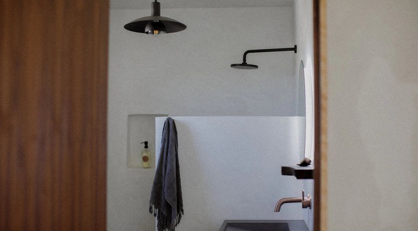 Photo of The Desert Sunflower