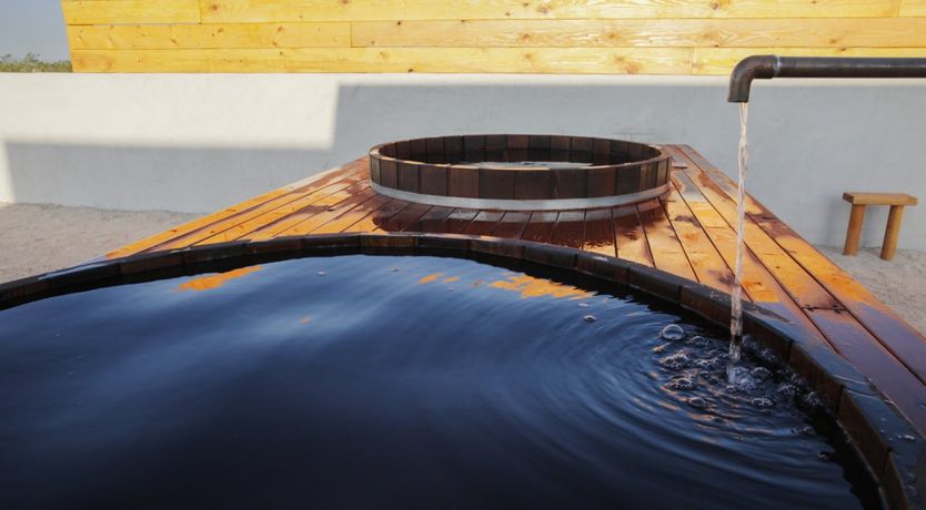 Photo of The Desert Sunflower