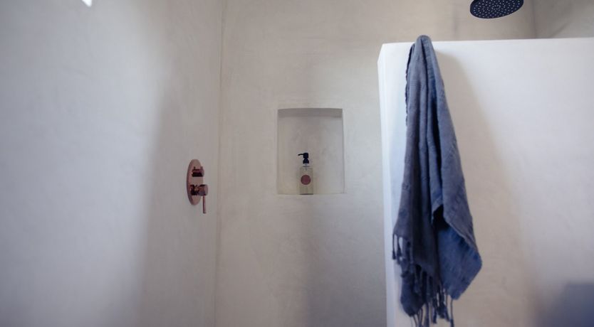 Photo of The Desert Sunflower