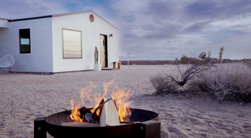 Photo of The Desert Sunflower