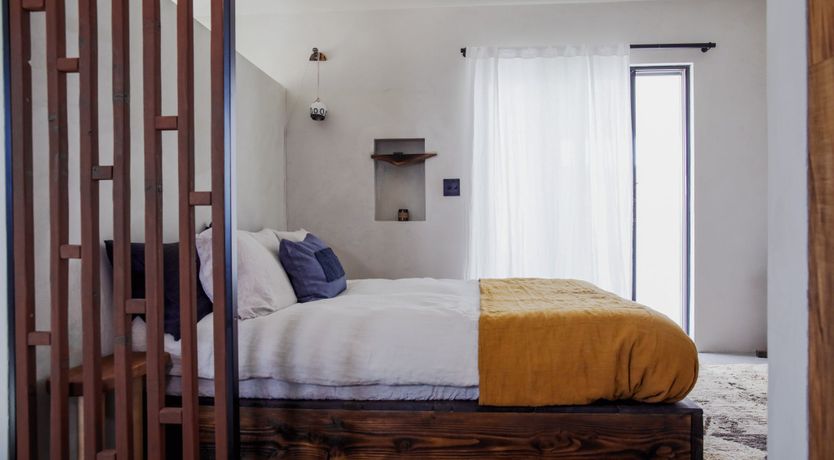 Photo of The Desert Sunflower