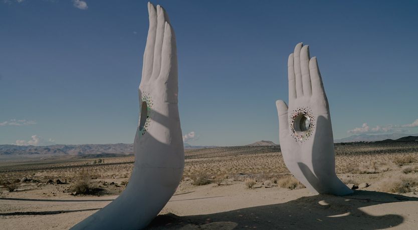Photo of The Desert Sunflower