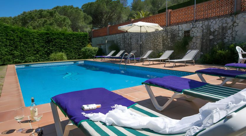 Photo of Orange Pomegranate