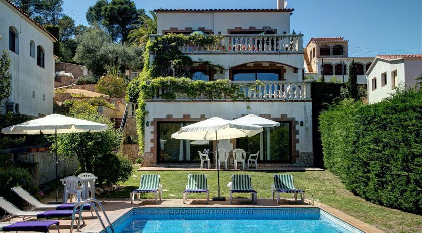 Photo of Orange Pomegranate