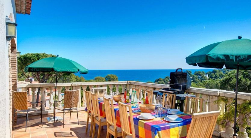 Photo of Orange Pomegranate