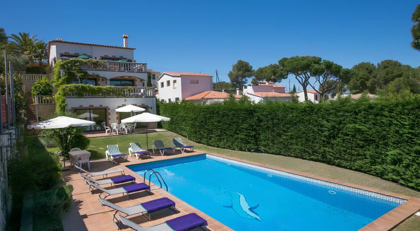 Photo of Orange Pomegranate