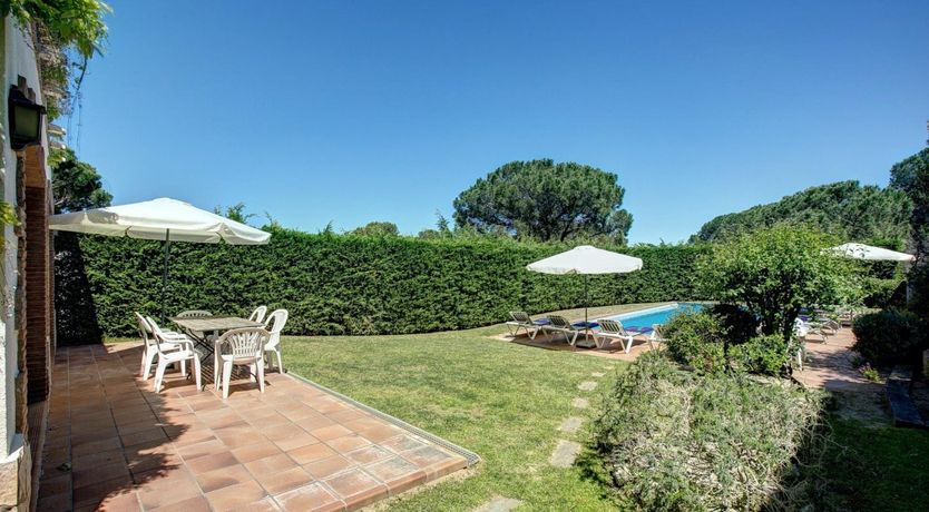 Photo of Orange Pomegranate