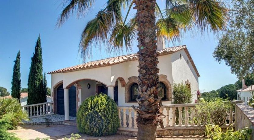 Photo of Orange Pomegranate