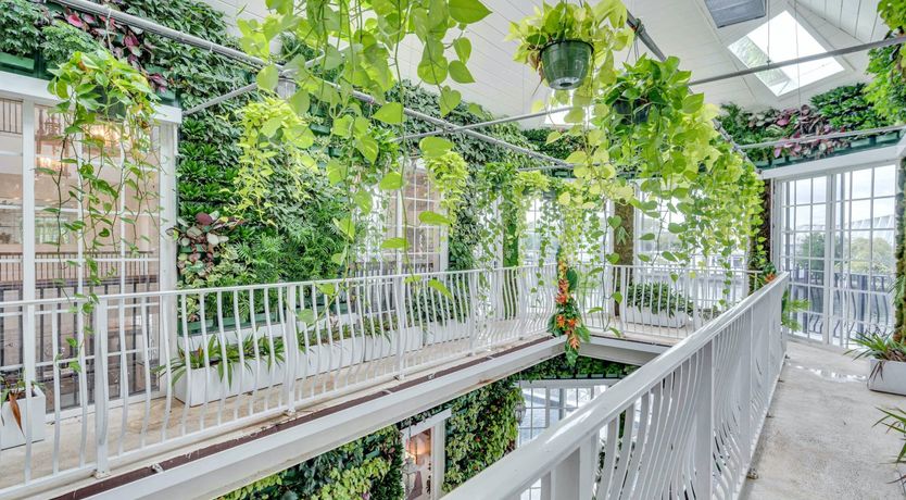 Photo of Sunshine Magic