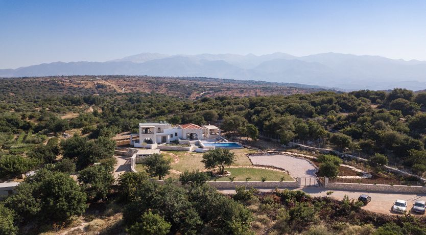 Photo of The Cretan Palm