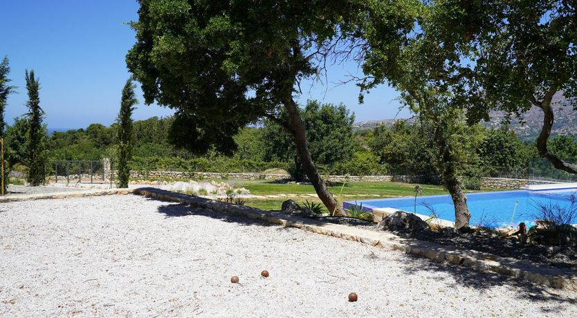 Photo of The Cretan Palm