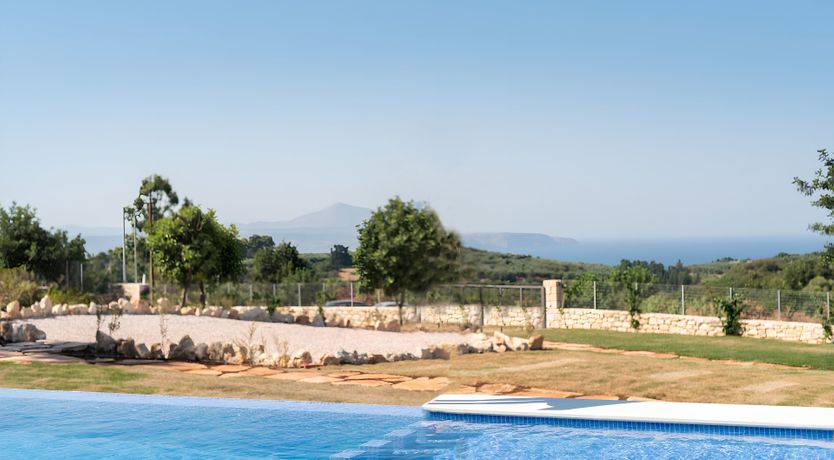 Photo of The Cretan Palm