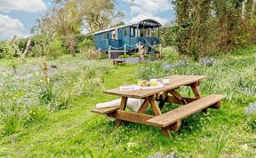 Photo of Log Cabin in South Cornwall