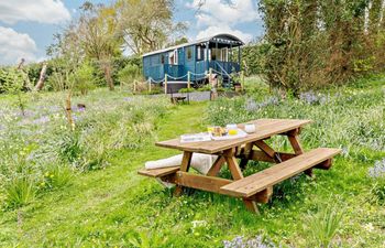 in Bodmin Moor  (91964) Holiday Cottage