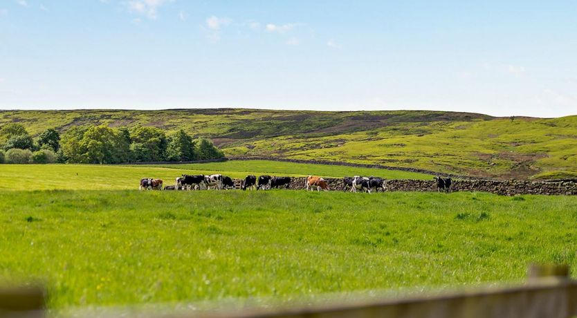 Photo of 3 Bed in Whitby