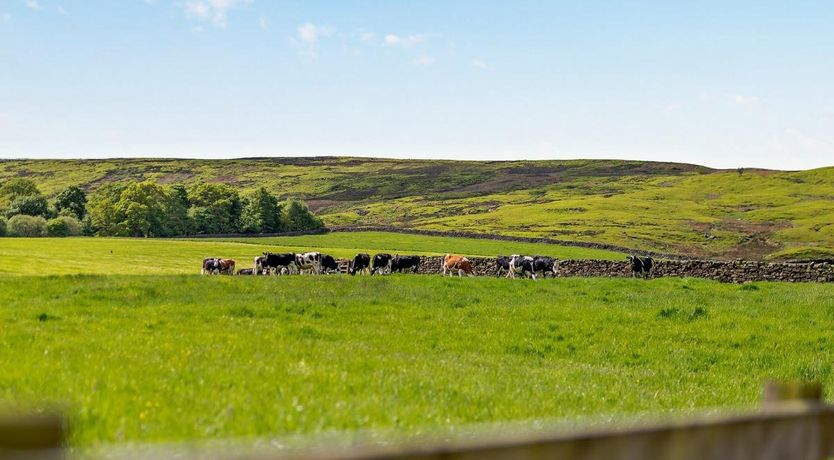 Photo of 3 Bed in Westerdale