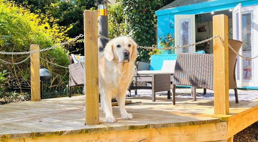 Photo of 1 Bed in Llanrhaeadr