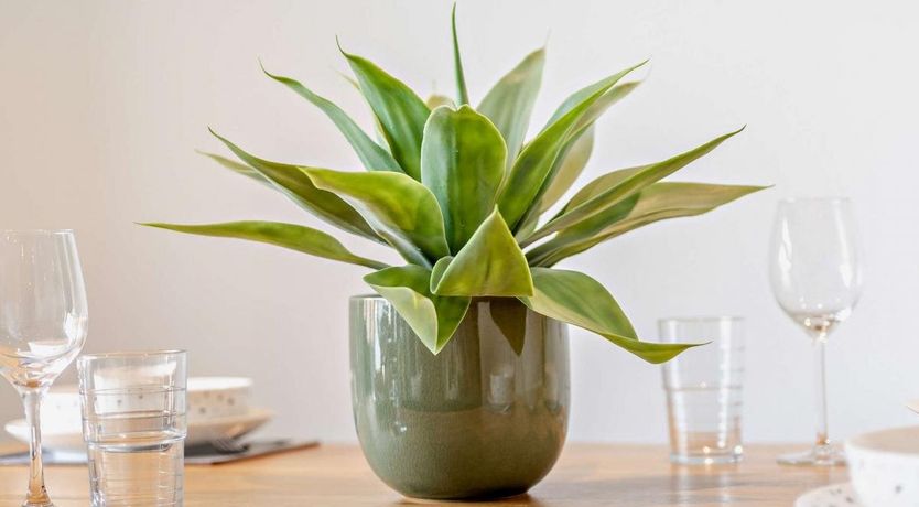 Photo of 2 Bed in Westward Ho