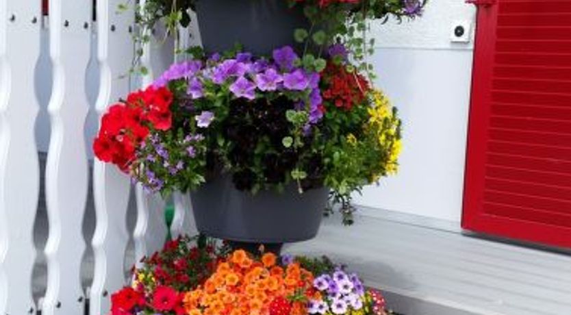 Photo of Appartement - Bellevue