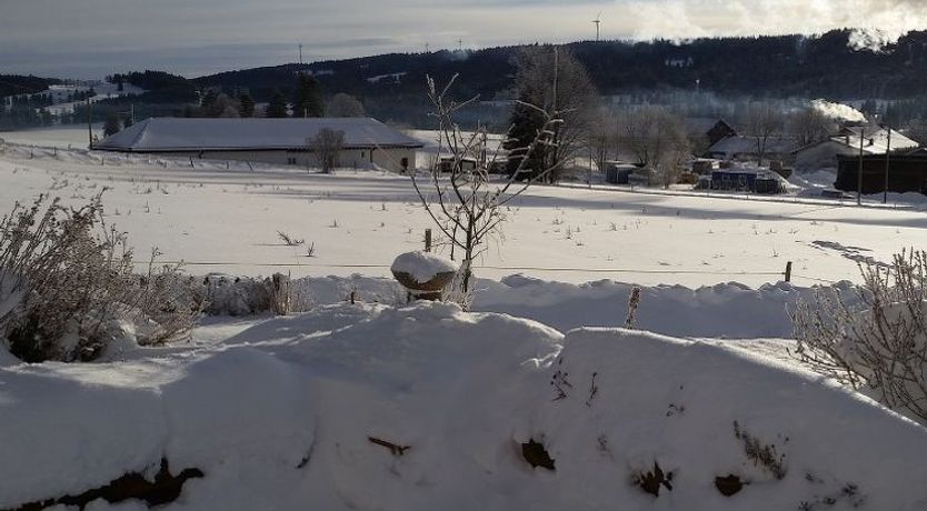 Photo of Appartement - Bellevue