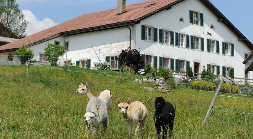 Photo of Gîte - Ferme O'Clés