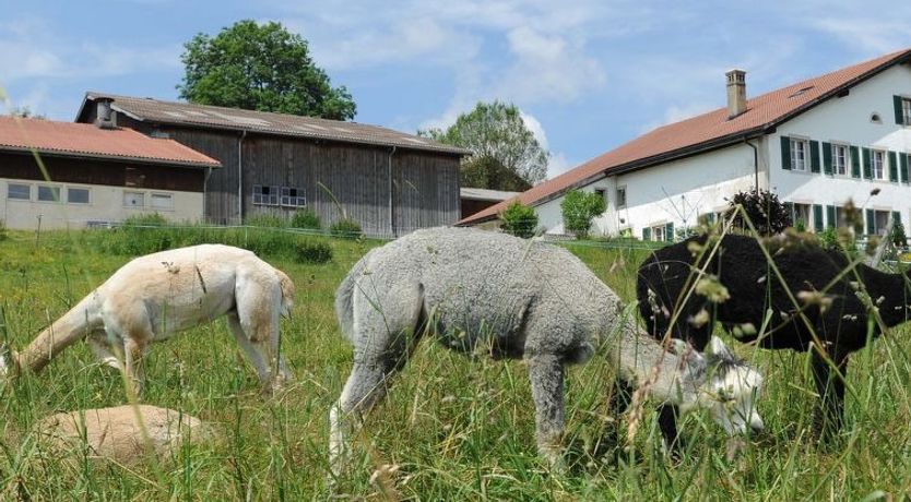 Photo of Gîte - Ferme O'Clés