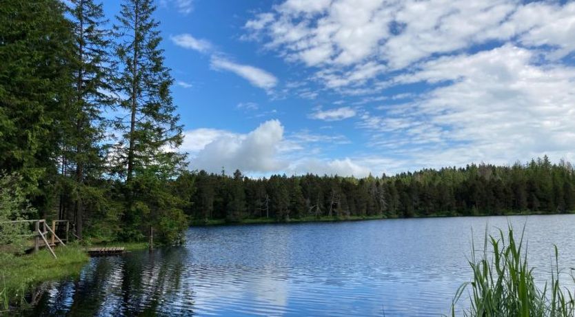 Photo of Maison de vacances - LM