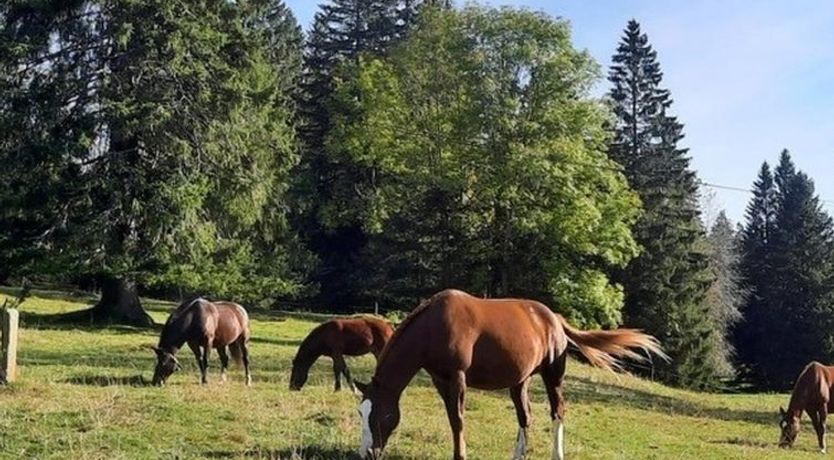 Photo of Maison de vacances - LM