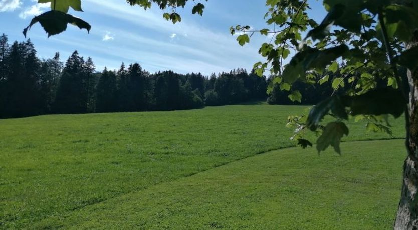 Photo of Appartement - Les Poingnats