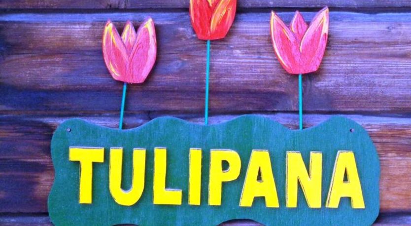 Photo of Tulipana Berther