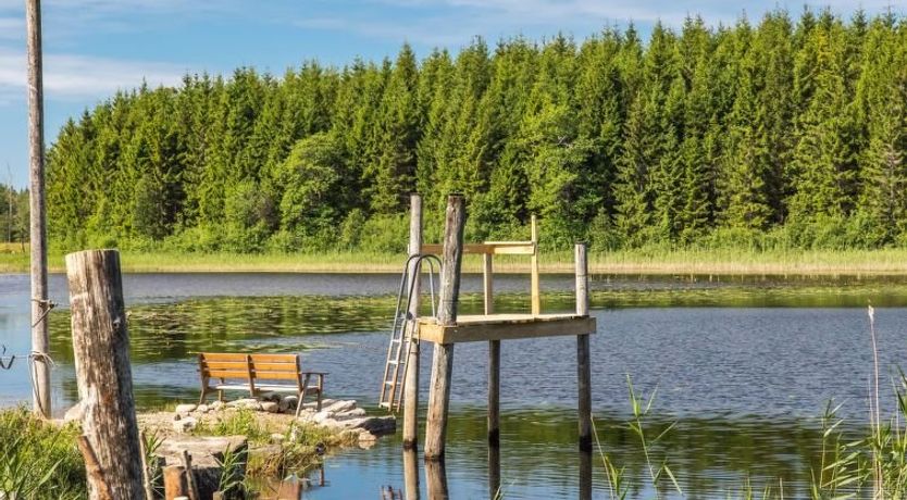 Photo of Enerhögen Lingonet