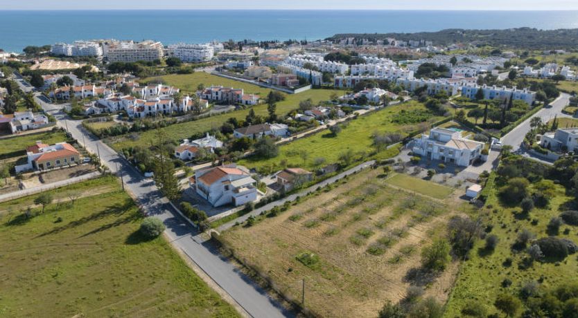 Photo of Almond Tree