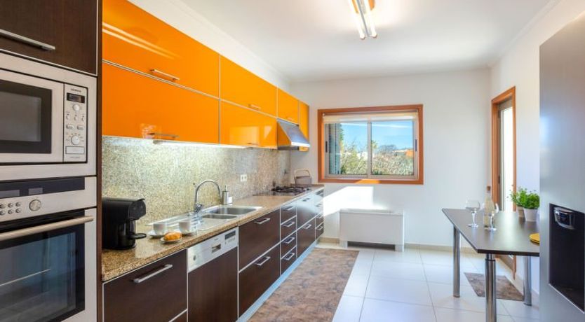 Photo of Almond Tree