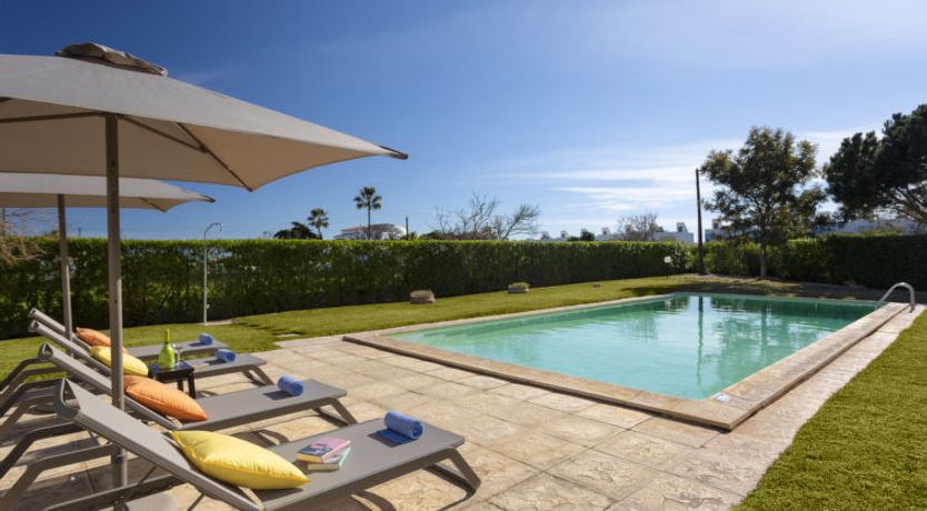 Photo of Almond Tree