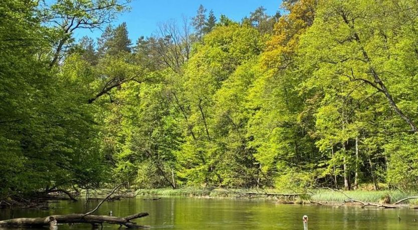 Photo of Zagroda nad Krutynią