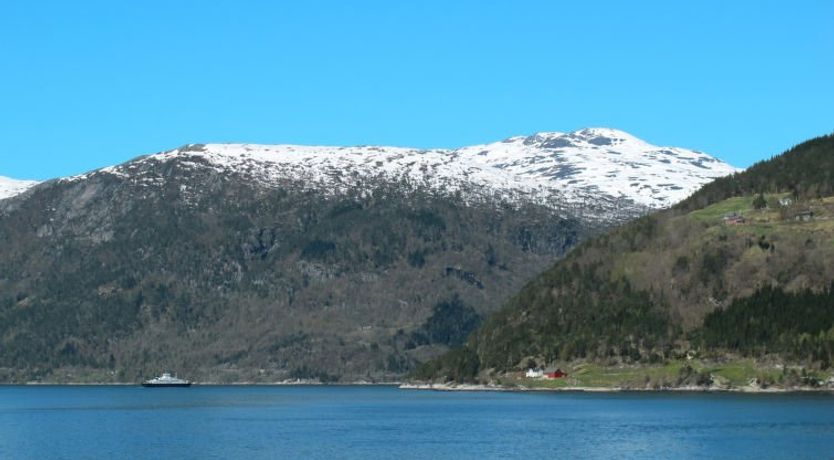 Photo of Hardangerrorbu