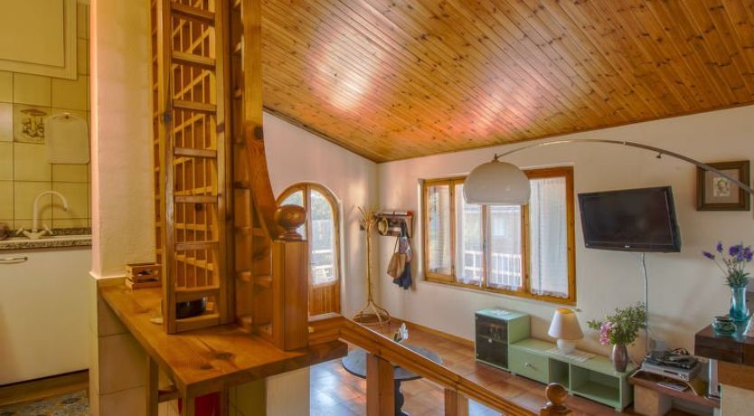 Photo of Duna Marina