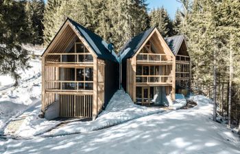 Waldchalet Obomilla Holiday Home