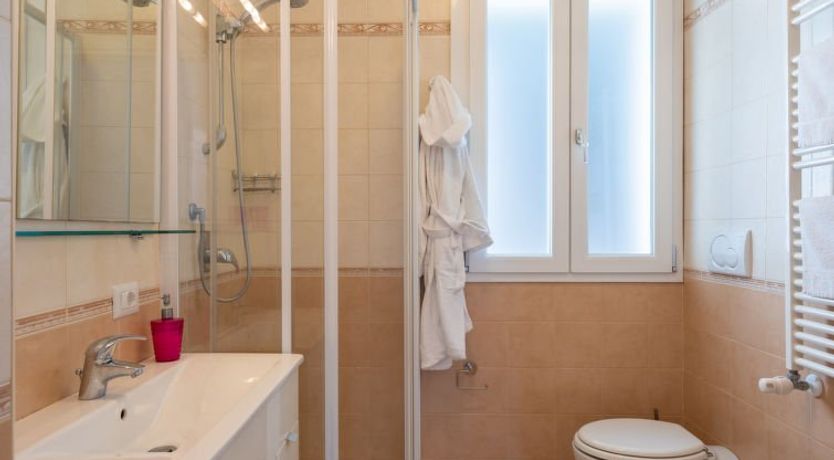 Photo of Rosa (PTB150)