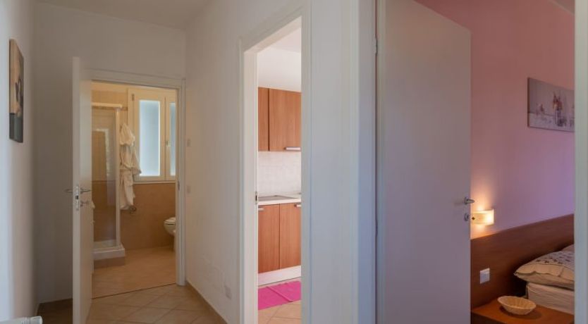 Photo of Rosa (PTB150)