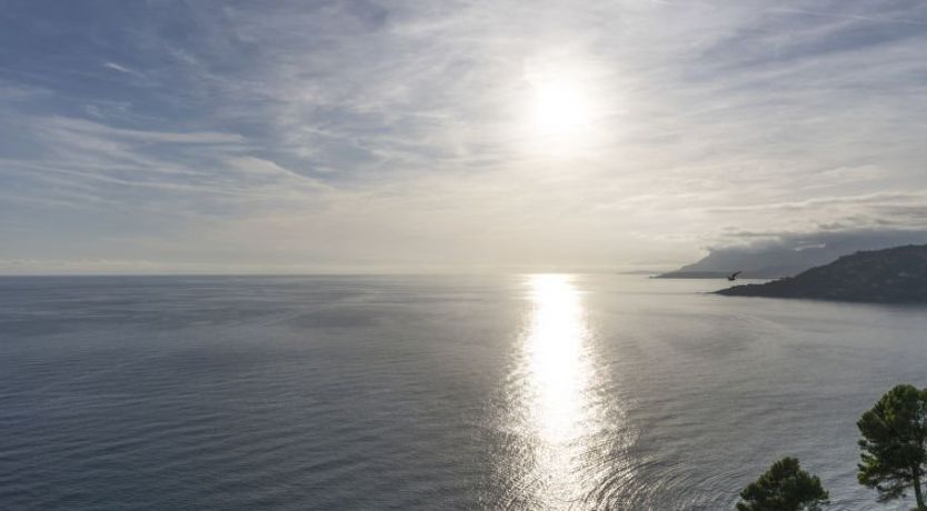 Photo of Mare Azzurro