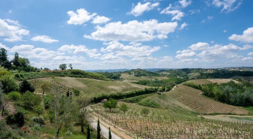 Photo of Agriturismo Colle di San Michele Apartment 2