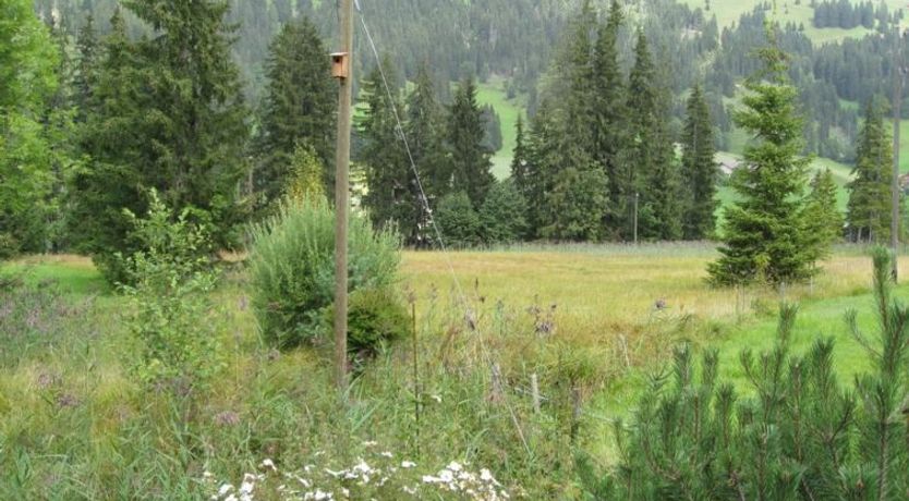 Photo of Chalet Nyati