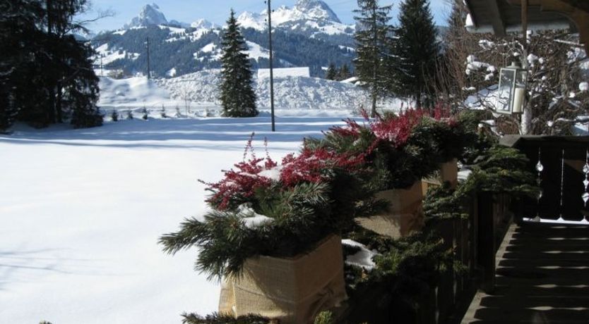 Photo of Chalet Nyati