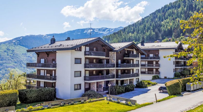 Photo of Arnica 16 Apartment 2