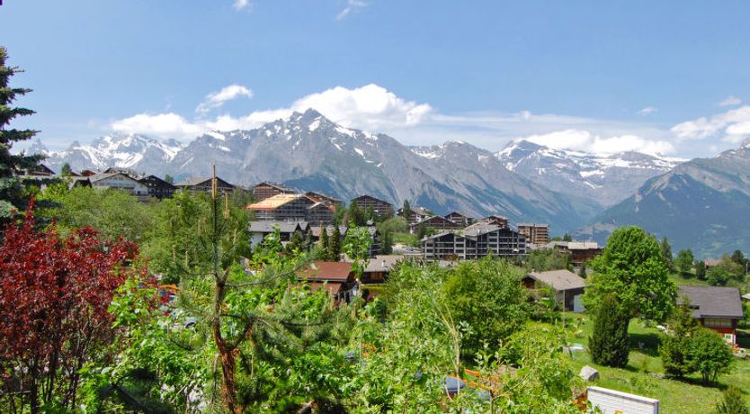 Photo of Valet de Coeur