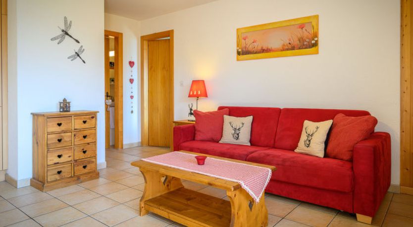 Photo of Plein Sud 3