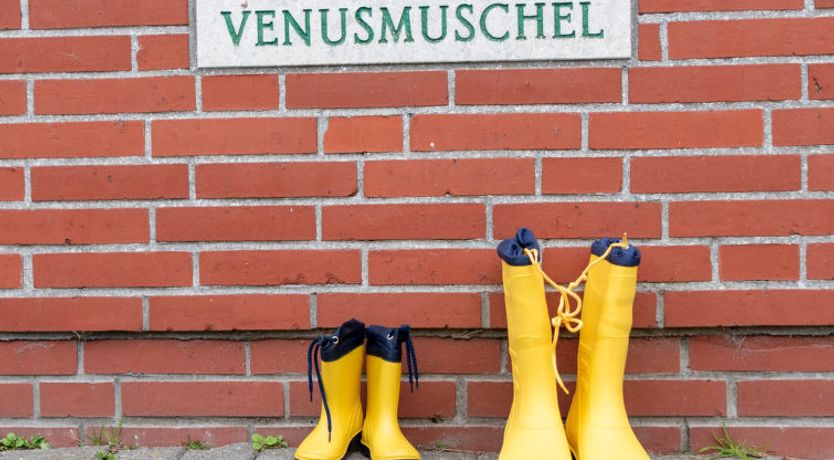 Photo of Venusmuschel Holiday Home 4